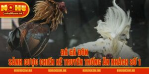 Đá Gà Đòn - Sảnh Cược Chiến Kê Truyền Thống Ăn Khách Số 1