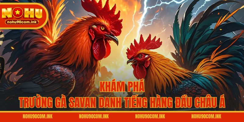 Khám phá trường gà Savan danh tiếng hàng đầu châu Á