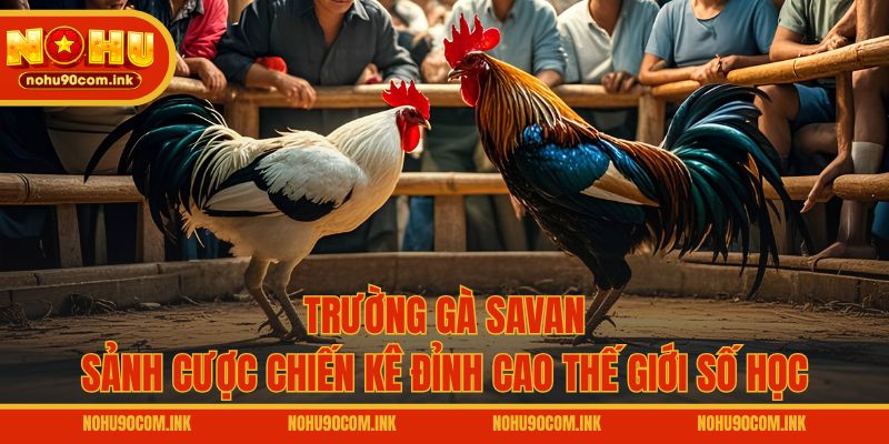 Trường Gà Savan - Sảnh Cược Chiến Kê Đỉnh Cao Thế Giới Số Học